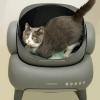 imageCat Litter Deodorizing Granules Cat Litter Box Odor Eliminator Cat Litter Odor Control for Home